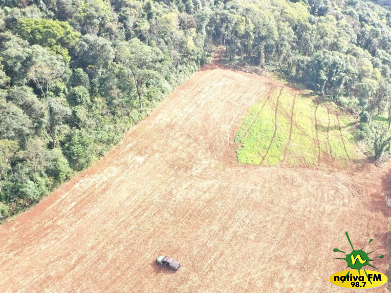 Polícia Militar Ambiental flagra desmatamento de vegetação nativa em