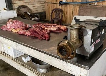 OperaÃ§Ã£o investiga venda de carne de cavalo para consumo humano em SC