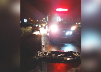 Motorista foge apÃ³s atropelar e matar pedestre na BR-282 em Campos Novos