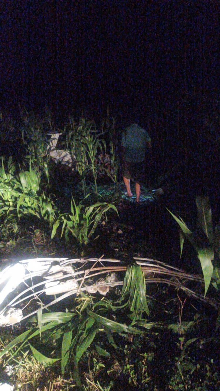 VeÃ­culo colide em poste em Peritiba