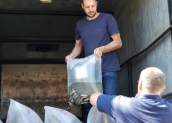 Agricultura de Piratuba, abre primeira encomenda de alevinos do ano