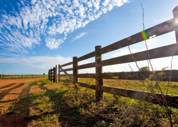 Tenho que pagar arrendamento se tive quebra de safra?