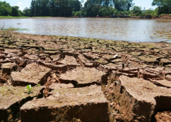 Ministra da Agricultura visitarÃ¡ Santa Catarina para avaliar os impactos da estiagem no meio rural