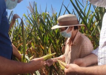 Ministra da Agricultura, Tereza Cristina, esteve em ChapecÃ³ nesta quarta-feira analisando situaÃ§Ã£o da estiagem