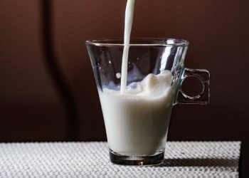 Governador Carlos MoisÃ©s sanciona lei que reduz ICMS do leite e de alimentos