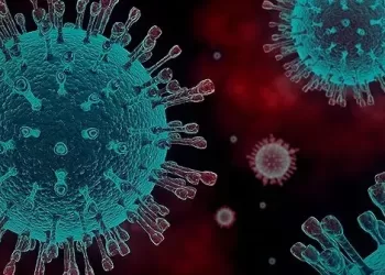 BebÃª de 6 meses morre vÃ­tima de Covid-19 em SC