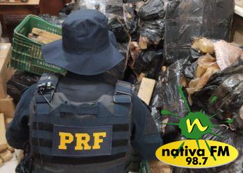 PRF realiza maior apreensão de maconha do ano em Santa Catarina