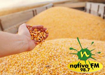 Fator pode disparar preÃ§o do milho