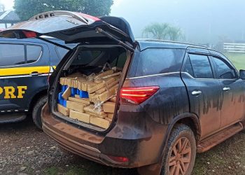 AÃ§Ã£o entre PRF e PMRV apreende 1,2 toneladas de maconha em caminhonete roubada