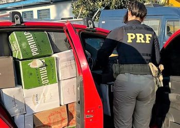 PRF apreende 720 garrafas de vinhos importados na BR-470