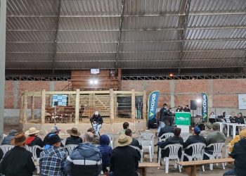 7Âº LeilÃ£o de Gado Geral de ZortÃ©a fecha com venda total dos animais e movimentaÃ§Ã£o superior a R$ 839 mil