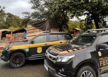 AÃ§Ã£o conjunta PRF e PF faz a maior apreensÃ£o de maconha do ano em SC