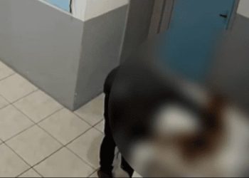 Vigilante Ã© condenado por ter estuprado cÃ£o em creche na Serra