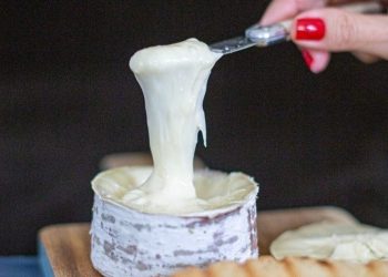 Queijo produzido em SC é eleito o melhor da América Latina