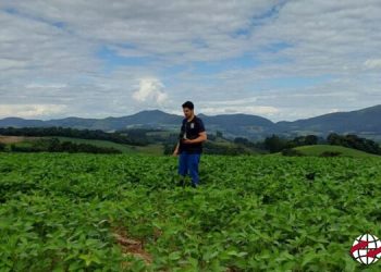 Novo engenheiro agrônomo reforça operações da CIDASC na região