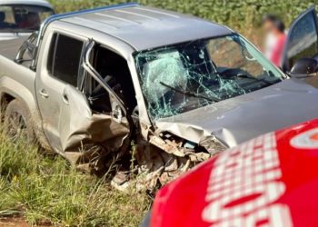 Veículo colide em árvore no interior Campos Novos