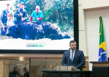 Decreto regulamenta caça do javali em Santa Catarina