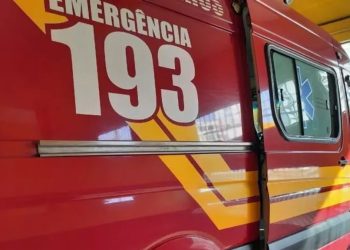 Morador de Joaçaba é vítima de atropelamento e morre na BR-282