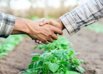 Produtores têm até 31 de maio para renegociar dívidas do crédito rural