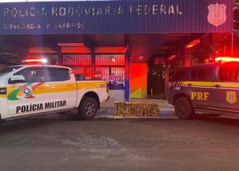 Mais de 200 quilos de maconha são apreendidos em Concórdia