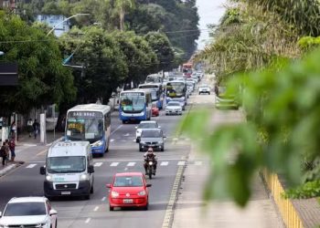 DPVAT: Senado aprova volta do seguro obrigatório de veículos; valor não está definido