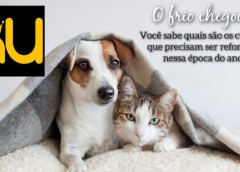 Voluntária da ONG Faunamiga orienta sobre cuidados com animais na chegada do frio