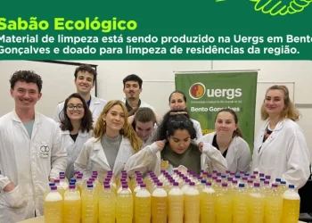 RS usará sabão ecológico na limpeza de casas atingidas por enchentes