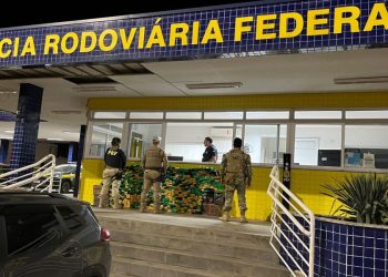 Mais de 600 quilos de maconha são apreendidos em Ouro