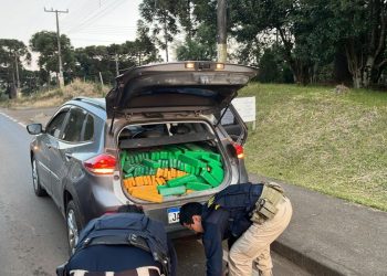Homem flagrado transportando mais de 600 quilos de maconha em Ouro vai continuar preso