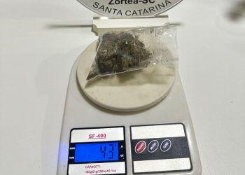 Polícia Militar apreende maconha durante abordagem em Zortéa