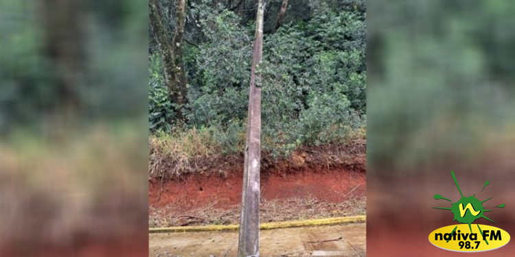 Fotos: Luiz da Rosa / Nativa FM