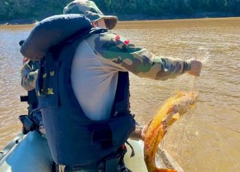 Polícia Militar Ambiental inicia fiscalizações no período da Piracema