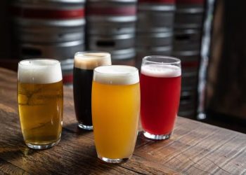 Santa Catarina não adotará lei seca para as eleições 2024