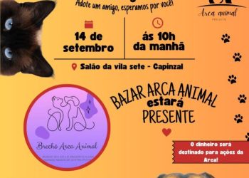Projeto Arca Animal promove bazar e feira de adoção no sábado (14)