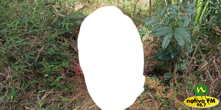 Foto: Rádio Fraiburgo