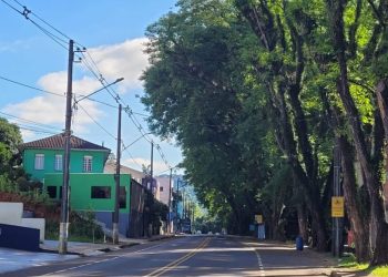 Prefeitura fará a poda de árvores no acesso ao Parque e Jardim Ouro na sexta-feira (15)