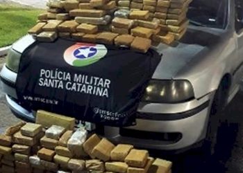 Mais de 7,6 toneladas de maconha foram apreendidas nas rodovias estaduais de SC em 2024