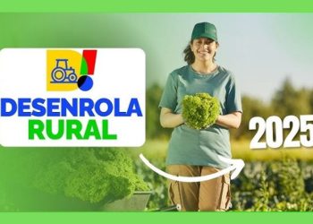 Desenrola Rural entra em vigor e primeiras dívidas são renegociadas em Santa Catarina