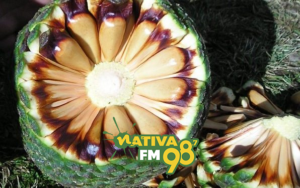 Foto: Acervo do Centro Vianei