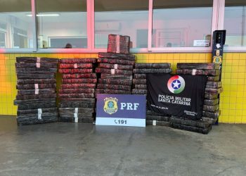Carga de droga avaliada em R$ 1,5 milhão é apreendida no Meio-Oeste de SC