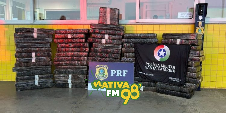 Foto: Polícia Militar Rodoviária (PMRv) / Divulgação