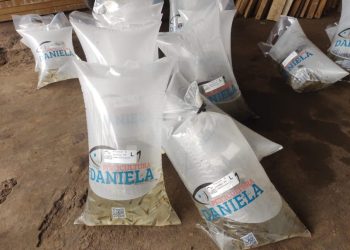 EPAGRI e secretarias de agricultura Capinzal e Ouro realizam entrega de 12 mil alevinos