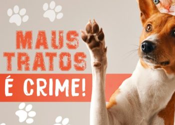 Polícia Civil conclui dois inquéritos por maus-tratos a cães em Catanduvas