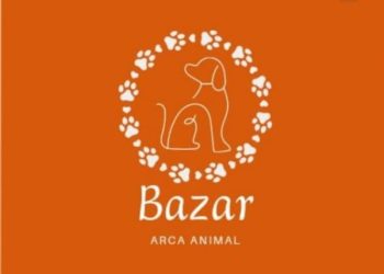 Projeto Arca Animal realiza bazar beneficente em Capinzal para arrecadar fundos