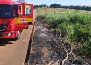 Bombeiros de Capinzal controlam incêndio em vegetação em Zortéa