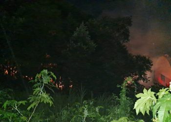 Incêndio em vegetação mobiliza bombeiros em Capinzal