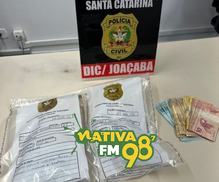Fotos: Polícia Civil / Divulgação