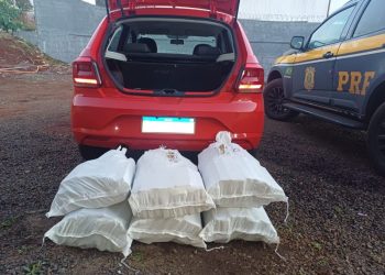 Casal é preso com 119 quilos de maconha em Nova Itaberaba