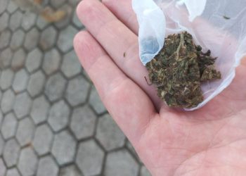 Maconha é apreendida em Zortéa