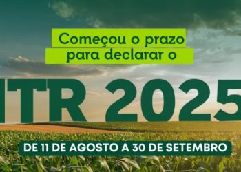 Declaração do ITR 2025 começou na segunda (11): veja prazos e como preencher